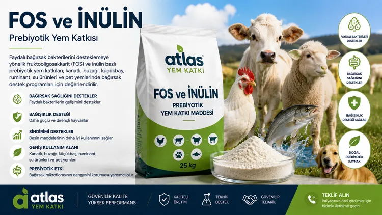 FOS ve İnülin