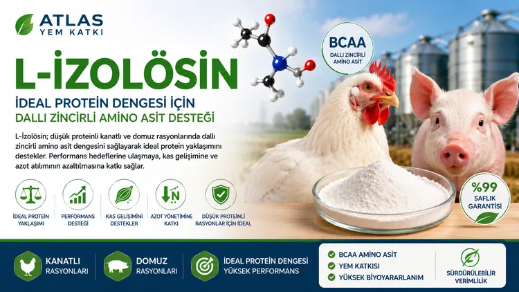 L-İzolösin