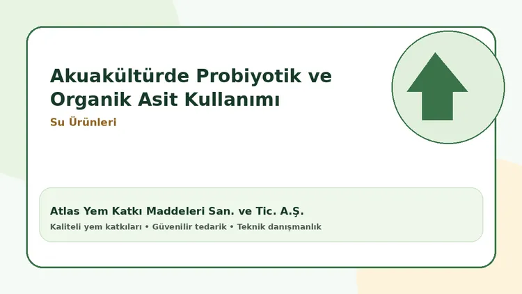 Akuakültürde Probiyotik ve Organik Asit Kullanımı