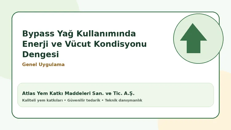 Bypass Yağ Kullanımında Enerji ve Vücut Kondisyonu Dengesi