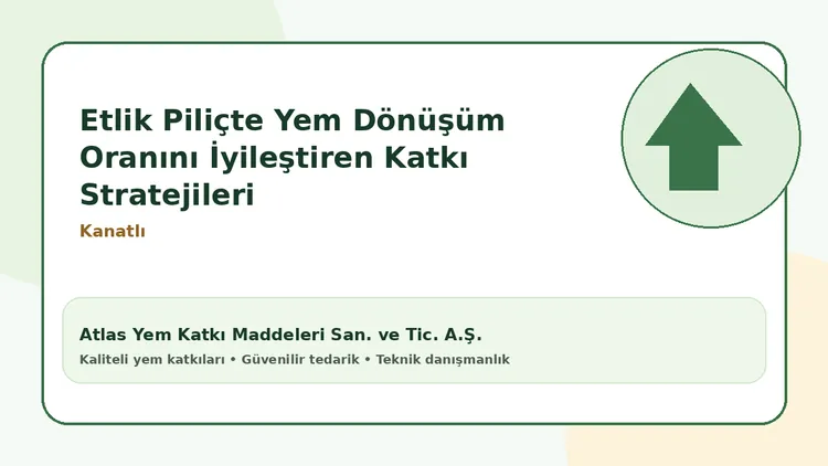 Etlik Piliçte Yem Dönüşüm Oranını İyileştiren Katkı Stratejileri