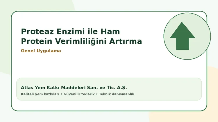 Proteaz Enzimi ile Ham Protein Verimliliğini Artırma