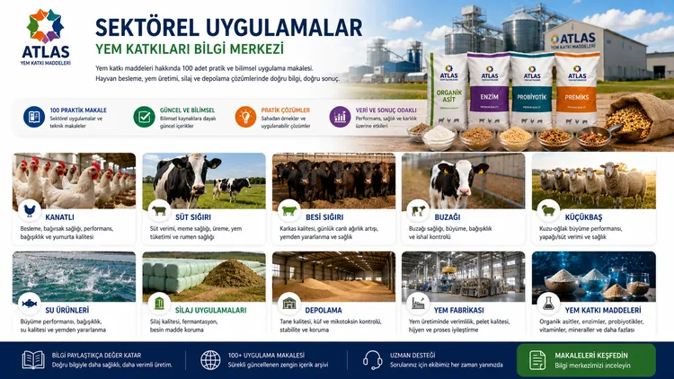 Yumurta Tavuğunda Pik Sonrası Performans Koruma